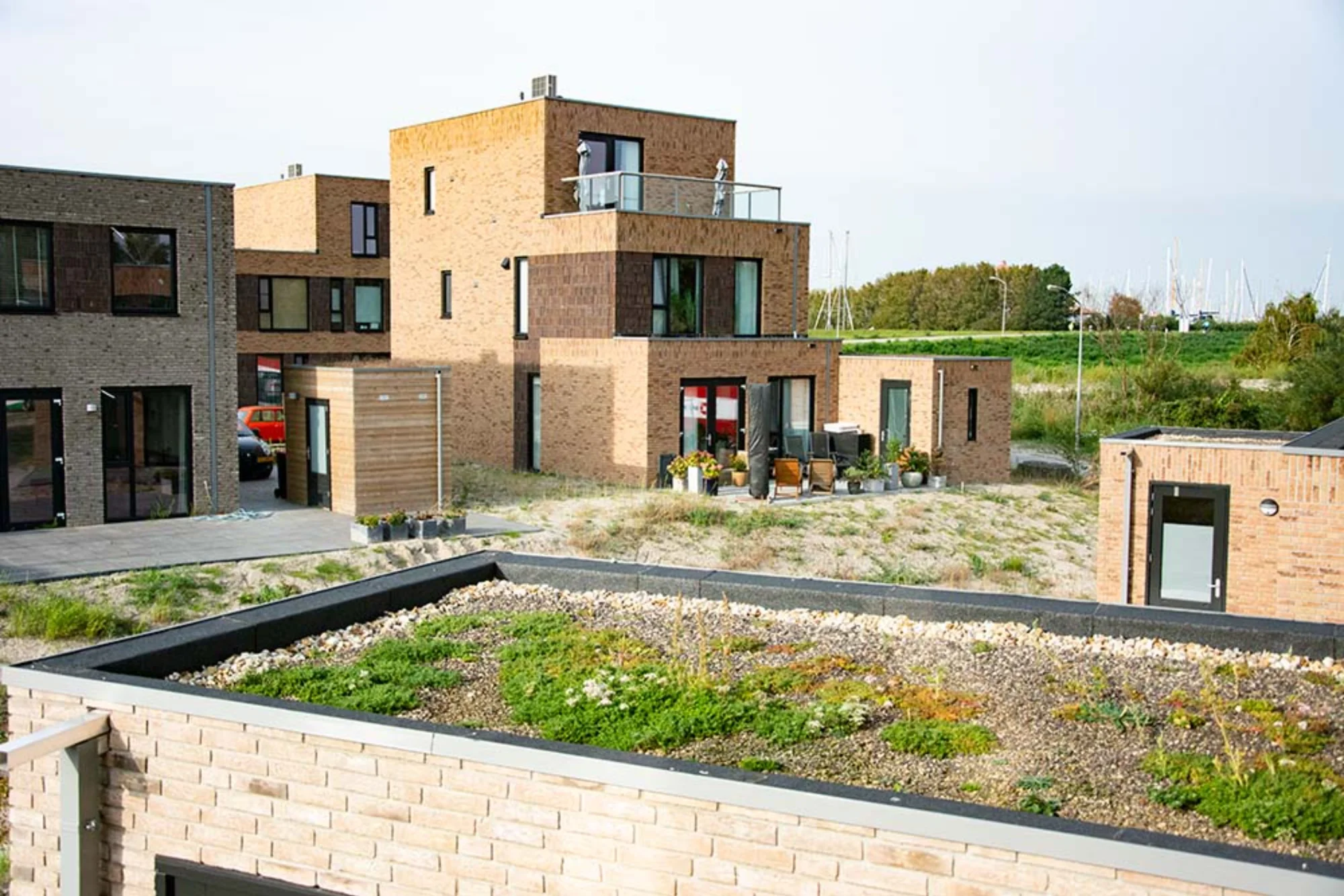 Ruim 40 groene daken voor nieuwbouwwijk Houtribhoogte 